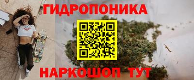 винт Будённовск