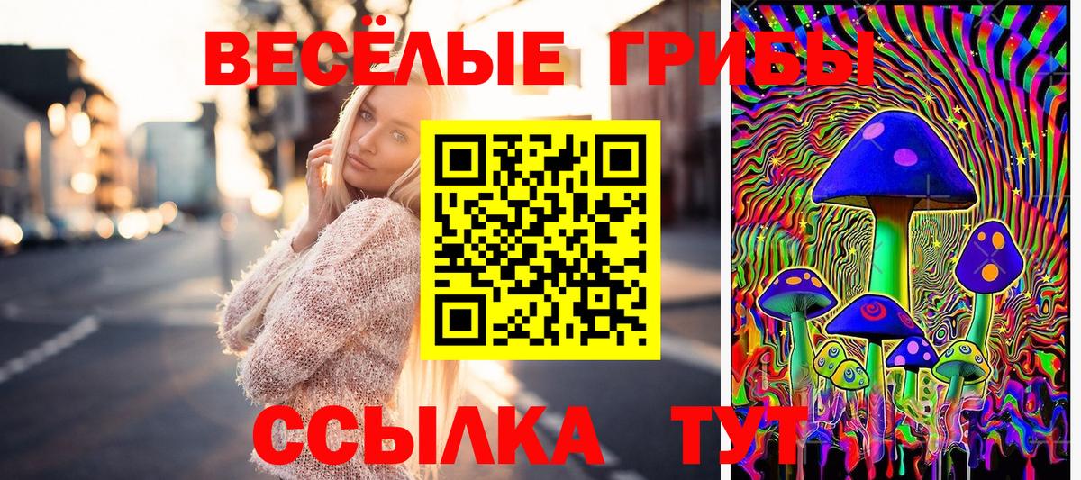 Галлюциногенные грибы мицелий  Вход с VPN  Северск 